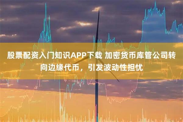 股票配资入门知识APP下载 加密货币库管公司转向边缘代币，引发波动性担忧