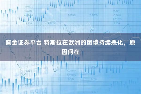 盛金证券平台 特斯拉在欧洲的困境持续恶化，原因何在